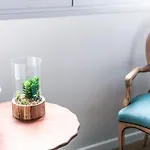 Cactus * 라스팔마스