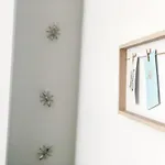 Cactus 호텔
