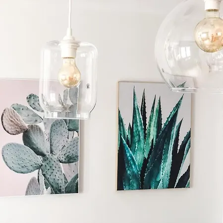 Cactus *