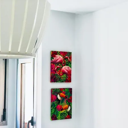 Cactus ラスパルマス・デ・グランカナリア