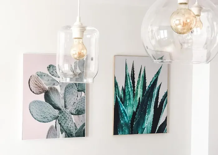 Cactus *