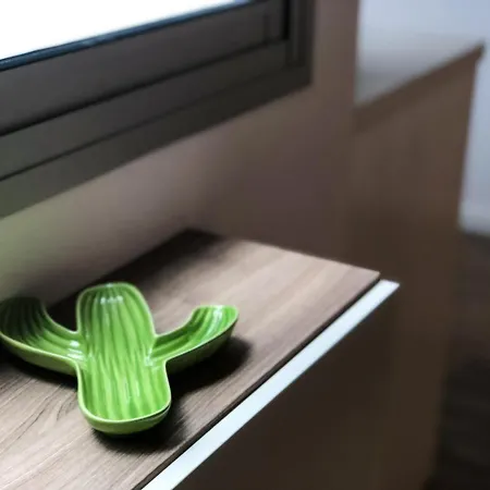 Cactus Las Palmas de Gran Canaria