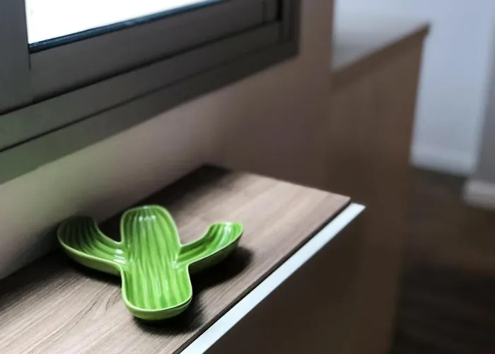 Cactus Las Palmas / Gran Canaria